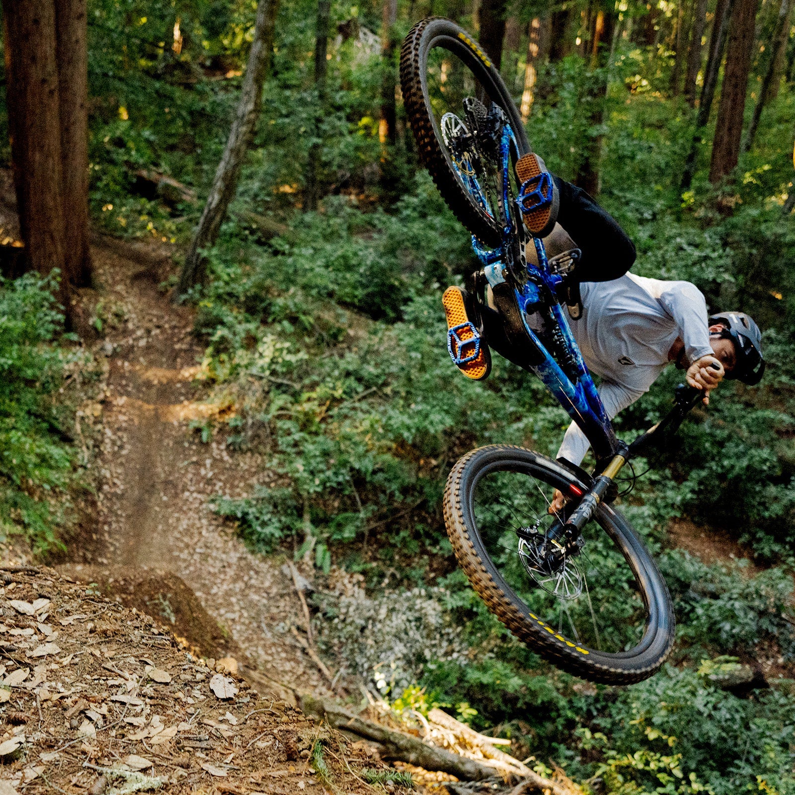 Wave Pedals - Image 5